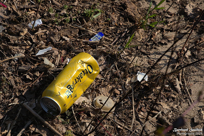 Bernhard Saalfeld - DSC01534 -1